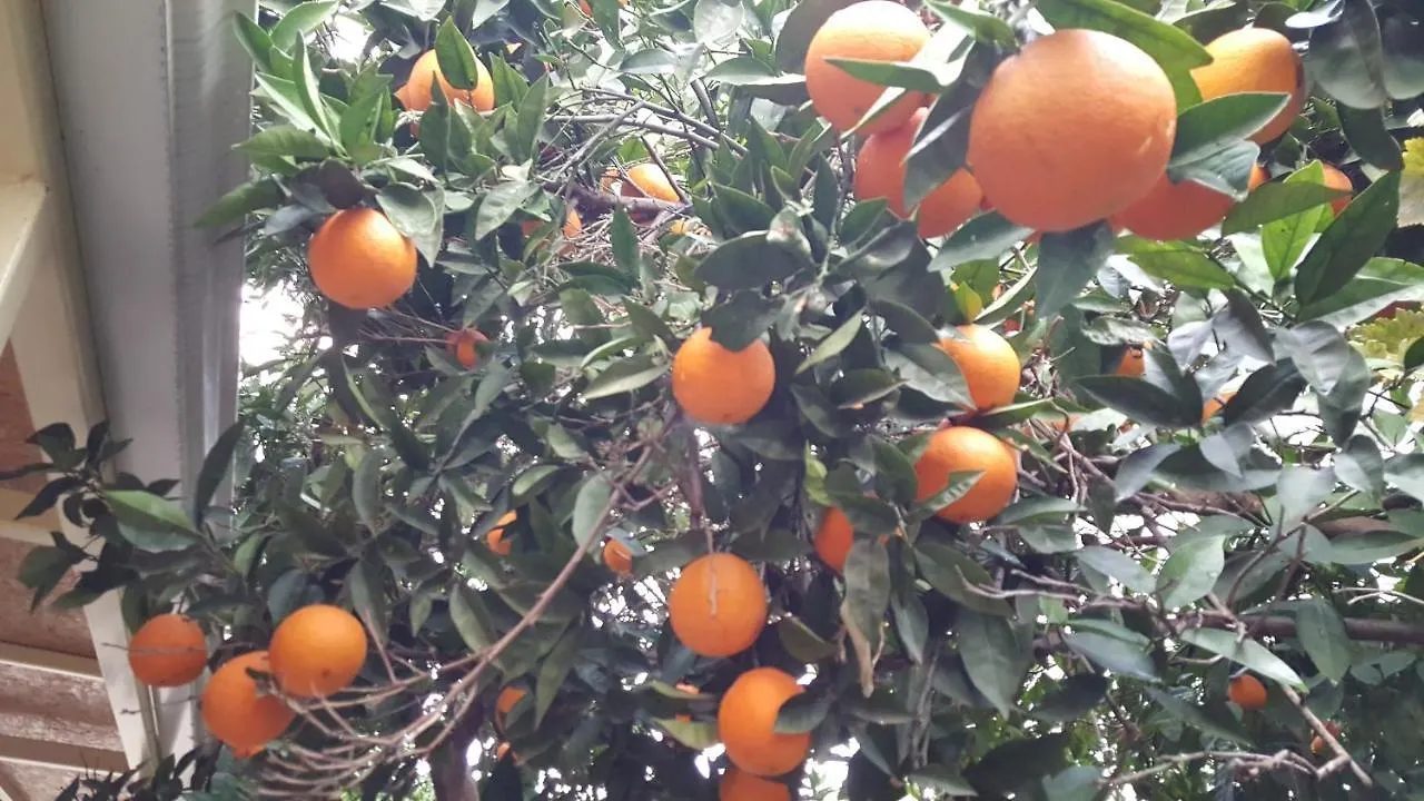 Kartal Hotel Antalya